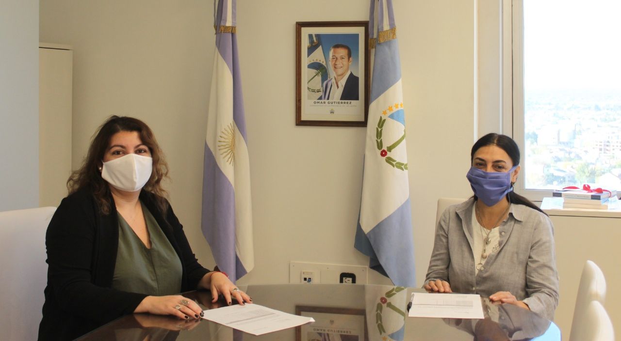 Los insumos fueron entregados a la ministra de Salud de Neuquén, Andrea Peve. 