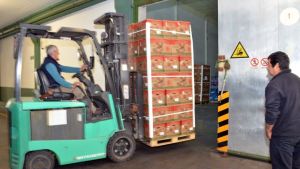 Empresas frutícolas piden al Gobierno nacional un dólar diferencial para el sector