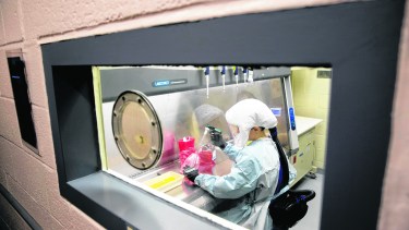 La carrera mundial por la vacuna contra el Covid-19 y los avances en el país