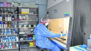 Neuquén no sumó nuevos casos y descartó 23 sospechosos