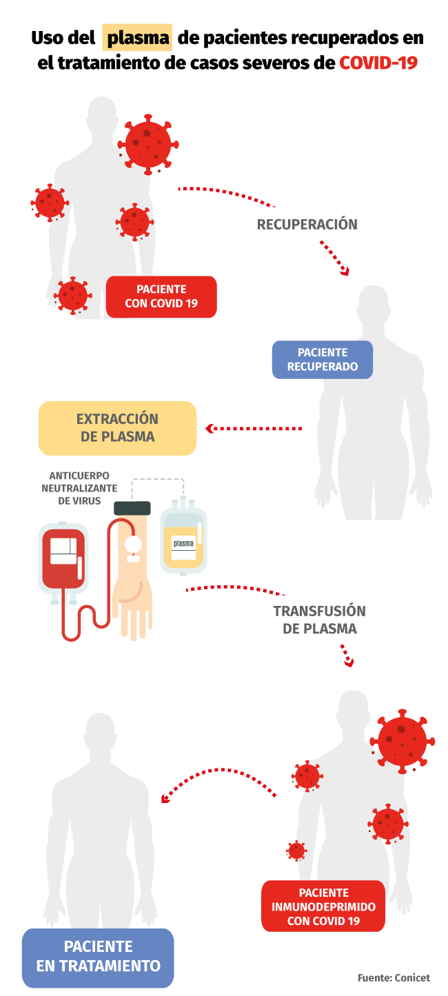 Image: https://www.rionegro.com.ar/wp-content/uploads/2020/04/Imagen-esquema-covid.png