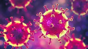 Dos reinos en guerra