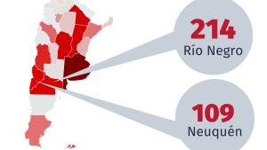 Coronavirus: son 215 las personas fallecidas en el país y 1256, las recuperadas
