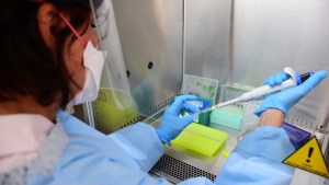 Neuquén confirma el caso 29 de coronavirus en Loncopué