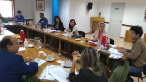 Disidencias al proyecto del MPN por la emergencia sanitaria en Neuquén