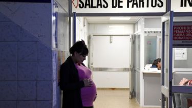 La comunicación entre quienes están cursando un embarazo y el plantel médico se hace a través del teléfono, mail y Facebook. Foto Florencia Salto.