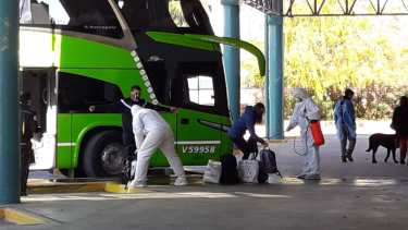 Siguen llegando a la ciudad cipoleños que habían quedado varados en Chile y Buenos Aires. (Foto gentileza)