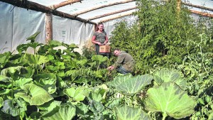 La agricultura familiar está en crisis terminal y espera ayuda