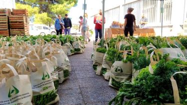 Crece la venta de frutas y verduras agroecológicas en Viedma