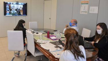 La ministra de Salud Andrea Peve mantuvo una videoconferencia con el titular de Salud a nivel nacional Ginés González García (Neuquén Informa)