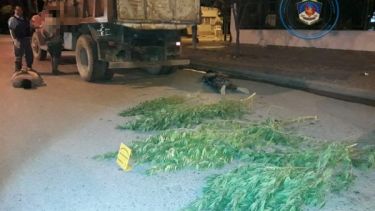 El rodado fue secuestrado y hubo denuncias por violar la cuarentena y en la Justicia Federal por traslado de marihuana. Foto Policía de Neuquén