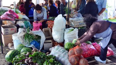 El pedido incluye la reapertura de la Feria, sábados y martes, con medidas especiales. Foto: Marcelo Ochoa.