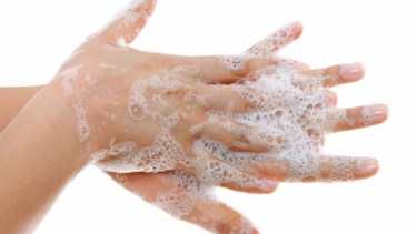 Seis pasos para proteger la salud de tu hogar. Foto: archivo. 