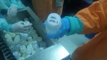 Son las enfermeras las que van a la buscar a leche a los domicilios.