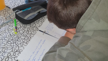 Tareas "de cuarentena" que no terminan. Foto: gentileza