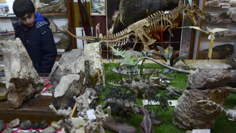 El Museo Paleontológico Bariloche funciona en la costanera. Foto: archivo