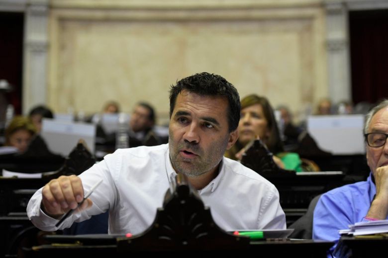 El diputado nacional, Darío Martínez, es el presidente de la comisión de Energía de la cámara baja. 