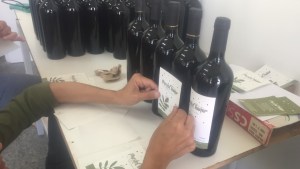 El valor de aprender y hacer tu propio vino en la bodega escuela Puesto Chañar