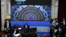 Imagen de Diputados aprobó beneficios para el personal de salud, en su primera sesión virtual
