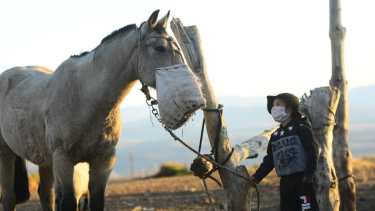 La primera salida de Joaco en Varvarco y un regalo sorpresa: el caballo Piñonero
