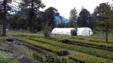 Foto: Facebook Vivero Provincial Luis Alberto Puel