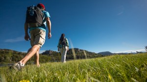 Planean abrir el Parque Nacional Lanín para salidas recreativas