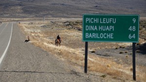 Pilcaniyeu: un trabajador rural cayó de su caballo y deberá ser resarcido por la ART