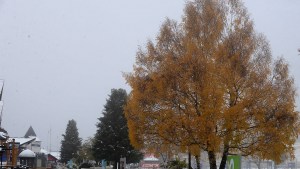 El Emprotur se ajusta pero no renuncia a la promoción de Bariloche