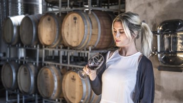 Hablan los protagonistas de la reinvención de la industria del vino regional por la crisis Covid-19