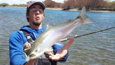 Bloopers de pesca: las truchas del Limay Medio no siempre posan para la foto perfecta