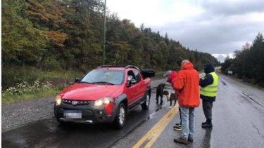 Así regresaban a Villa la Angostura los varados en Andorra. (Gentileza).-