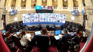 El Senado aprobó los decretos del gobierno en la primera sesión virtual