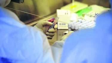 Hay 240 nuevos casos de coronavirus en el país: son 293 las muertes