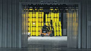 El sector frutícola solicita una prórroga para la Emergencia