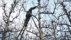 Uatre acordó con empresarios una suba salarial de 32%