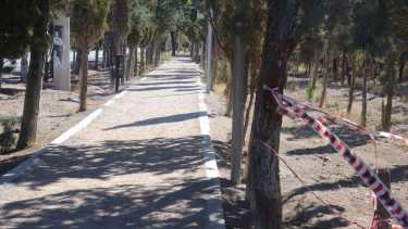 En Parque Norte el Municipio proyecta la plantación de 5 mil ejemplares.  Foto archivo 