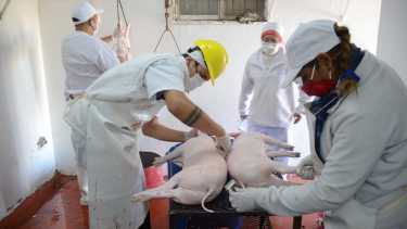 El matadero de la meseta volverá a recibir a los crianceros el lunes. (Yamil Regules).-