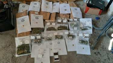 Encuentran droga en una vivienda que funcionaba como comedor en Viedma