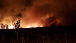 Los bomberos de Centenario aseguran que falta agua para apagar los incendios