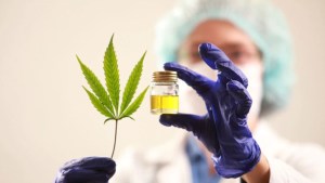 Conferencia sobre el Cannabis medicinal durante el aislamiento