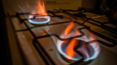 Los muestreos realizados por la división de Siniestros arrojaron negativo. Foto: (Archivo) Gonzalo Maldonado