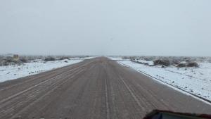 Rincón de los Sauces amaneció con nieve