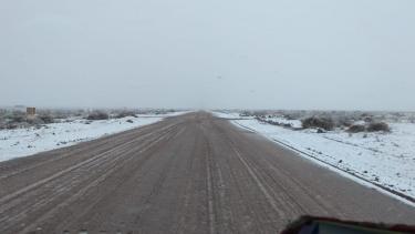 Ruta 5 inmediaciones de Rincón de los Sauces (gentileza)