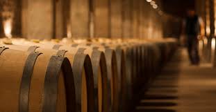 Las bodegas de la región patagónica cuestionan a Concha y Toro, de Chile. 