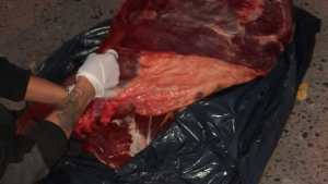 Decomisaron 50 kilos de carne en Vista Alegre