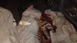 Llevaban carne recién faenada y los detuvieron en Zapala