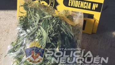 Lo detuvieron por romper la cuarentena y le encontraron marihuana en Neuquén