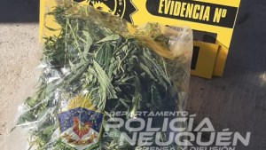 Lo detuvieron por romper la cuarentena y le encontraron marihuana en Neuquén