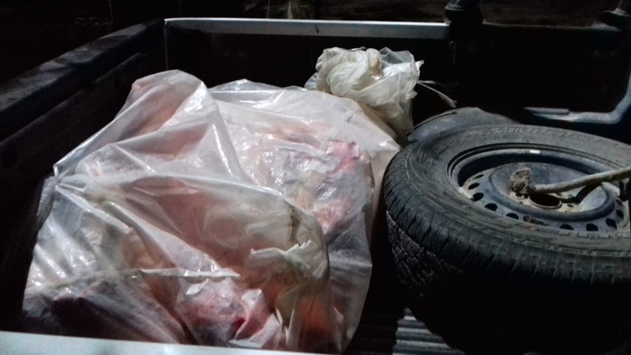 Un hombre transportaba 80 kilos de carne sin permisos ni medidas sanitarias. (Foto gentileza)