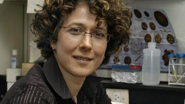 La viróloga Andrea Gamarnik